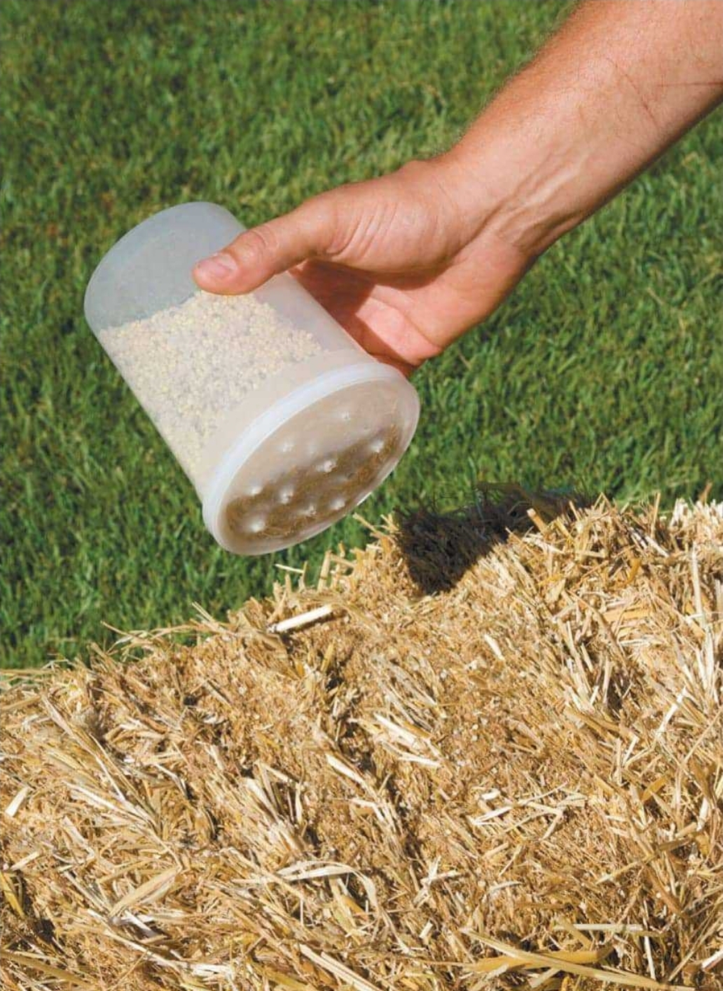 Person applying nitrogen fertilizer to straw bale on day 1 of conditioning process