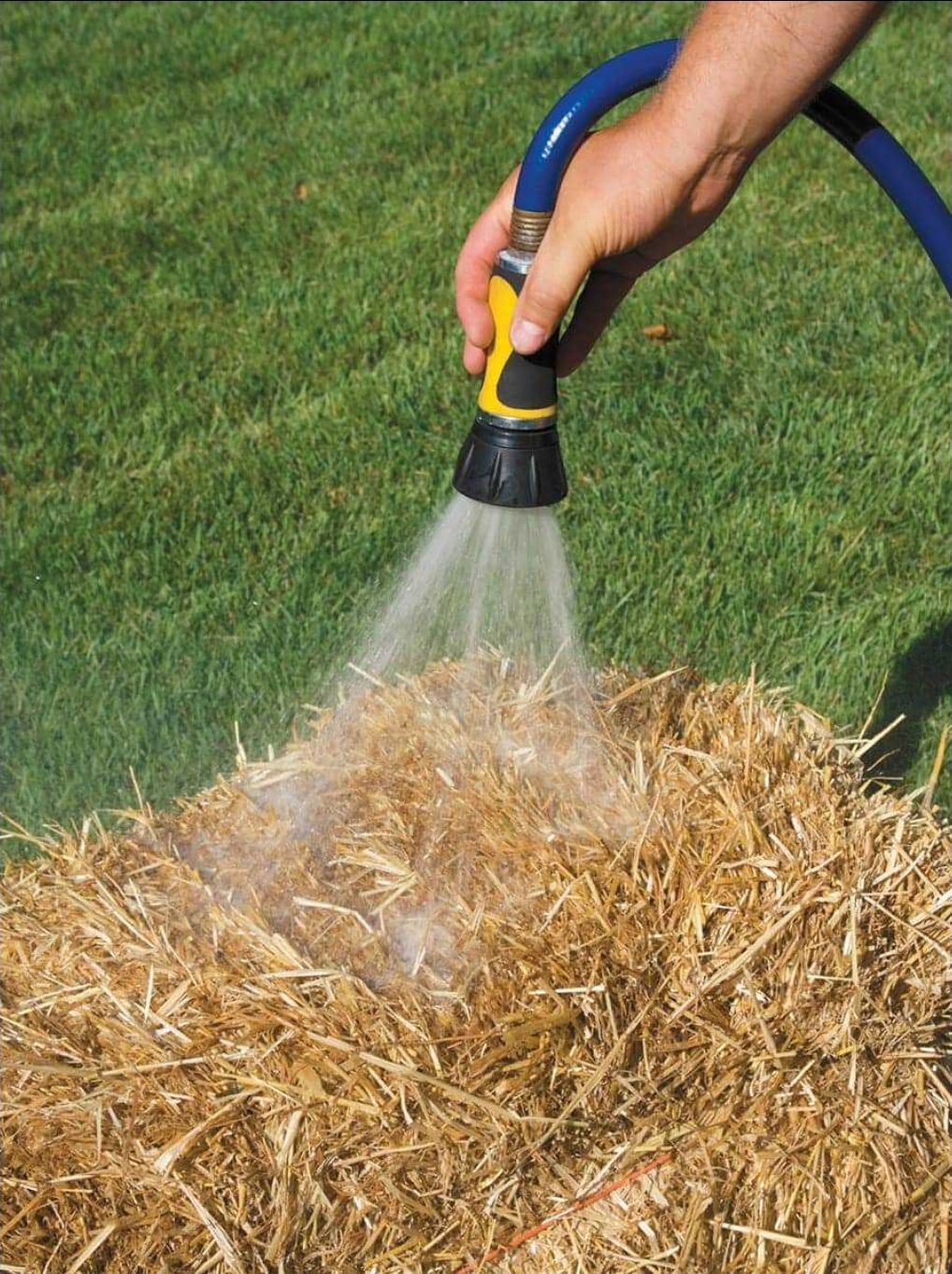 Person thoroughly watering straw bales with garden hose during daily maintenance