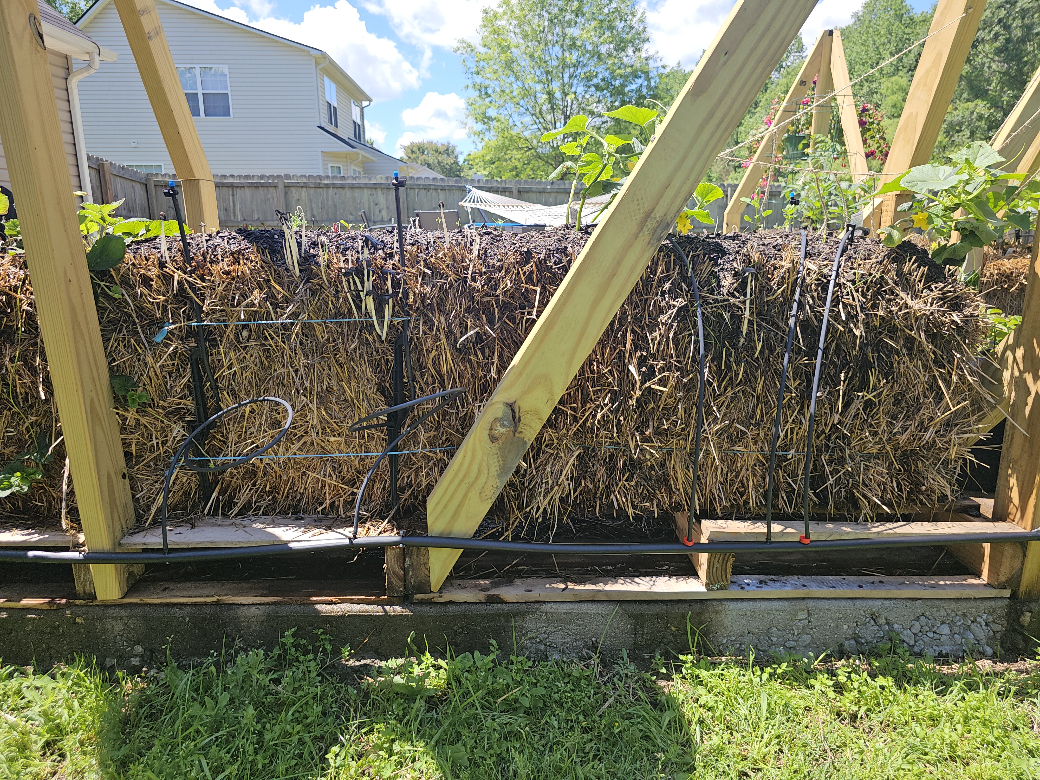 Professional drip irrigation system installed on straw bales with emitters and timer