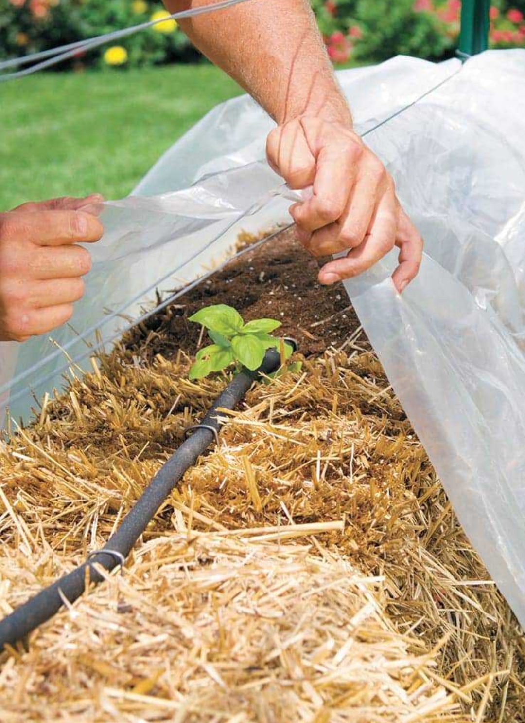 Straw bale garden with season extension protection measures including row covers and cold frames