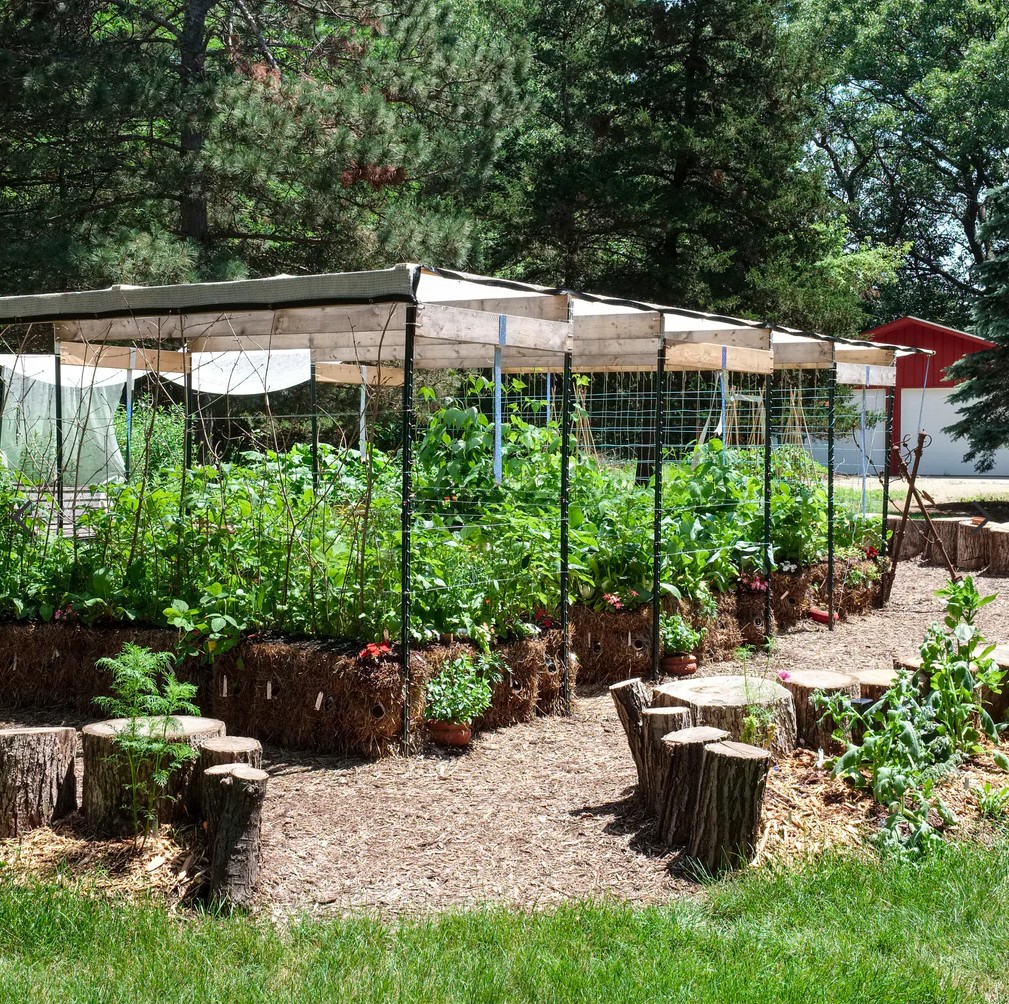 Straw bale garden with shade protection during extreme heat in hot climate