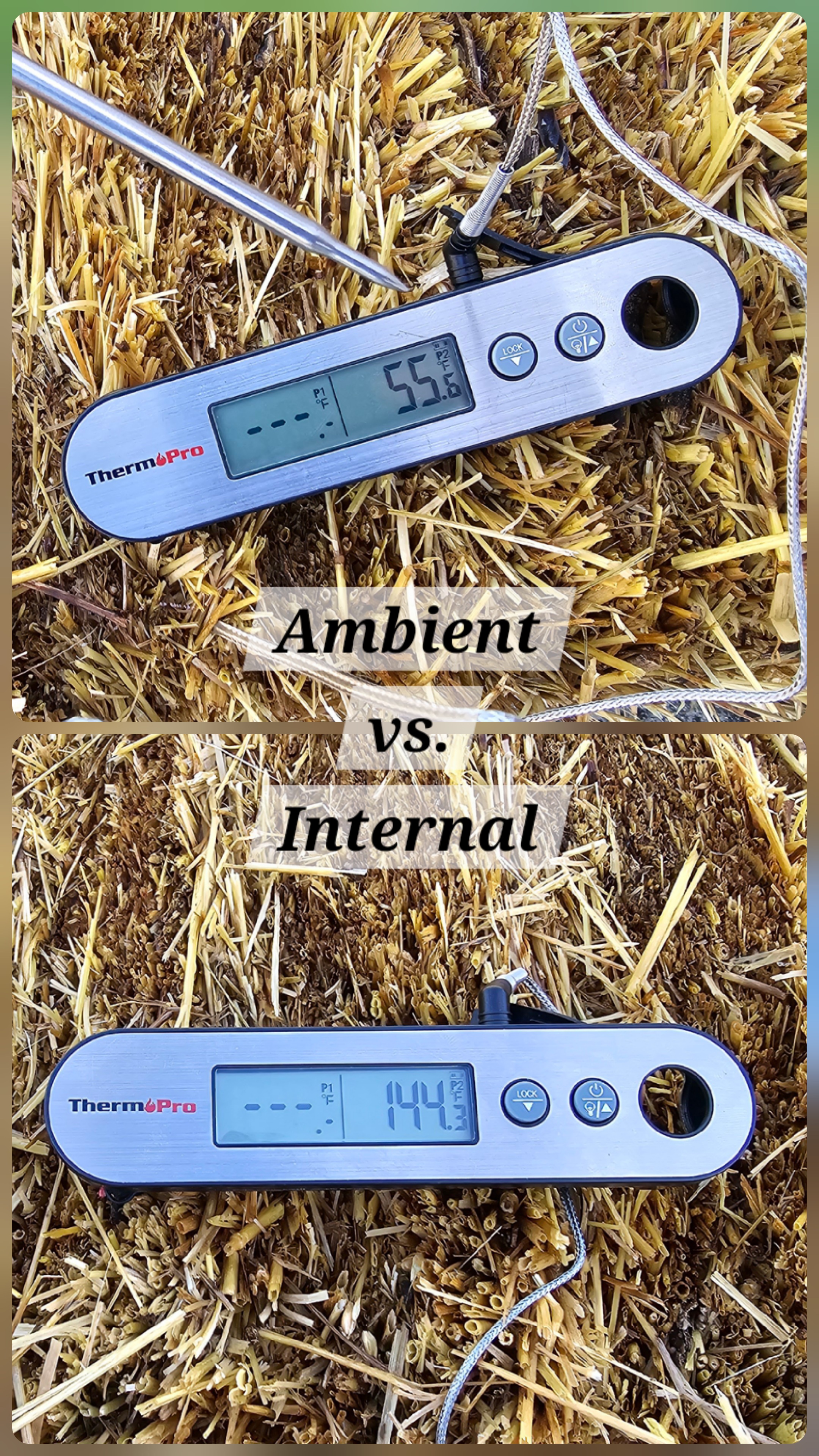 Digital thermometer being inserted into straw bale to check internal temperature for optimal growing conditions