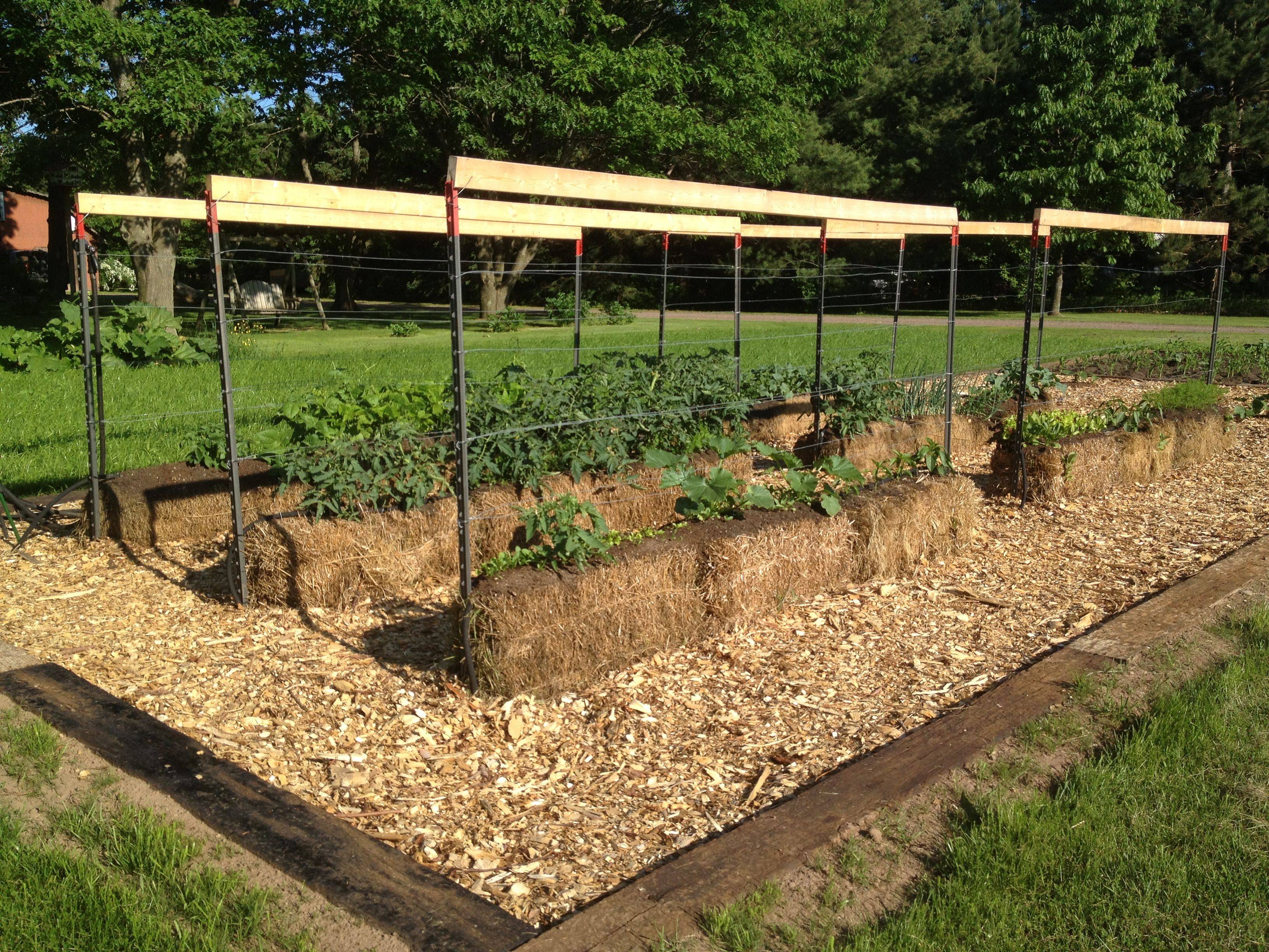 Perfect garden location with full sun exposure and easy water access